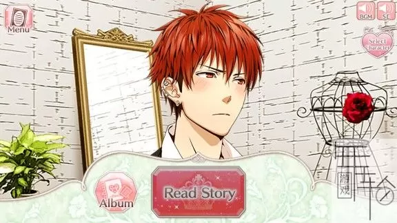switch《公主衣柜 Princess Closet》英文版nsp下载_1