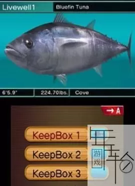 3DS《鱼之眼天堂3D》欧版英文CIA下载_0