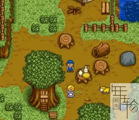 3DS《牧场物语》汉化版中文CIA下载_0