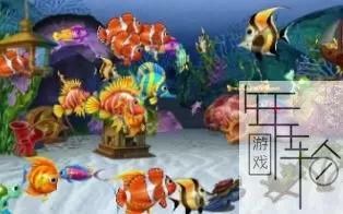 3DS《梦想水族馆》欧版英文CIA下载_0