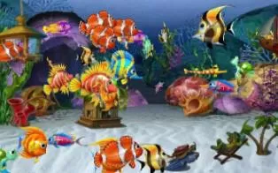 3DS《梦想水族馆》欧版英文CIA下载
