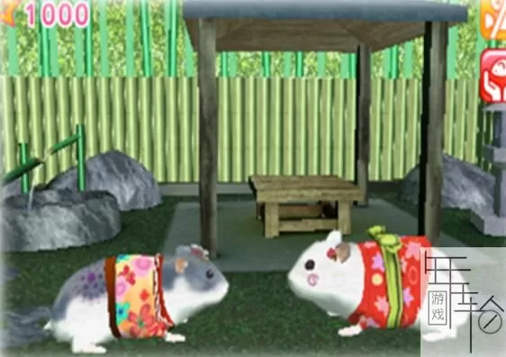3DS《与漂亮的仓鼠一起生活共同外出》欧版英文CIA下载_0