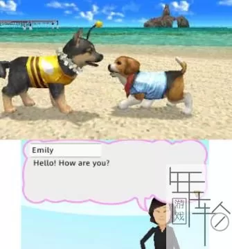 3DS《宠物沙滩》美版英文CIA下载_0