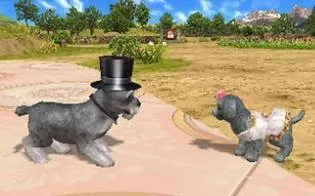 3DS《宠物乡村》美版英文CIA下载