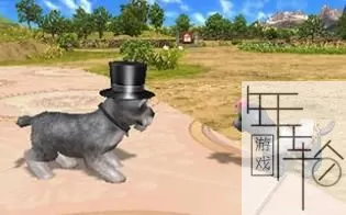 3DS《宠物乡村》美版英文CIA下载_0