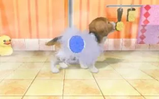 3DS《宠物沙滩》美版英文CIA下载