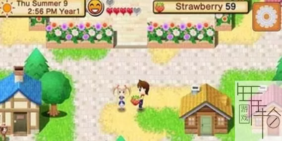 3DS《牧场物语天空树村》欧版英文CIA下载_0
