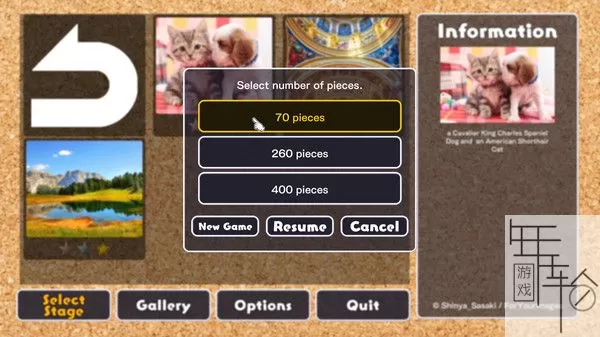 switch《拼图杰作 Jigsaw Masterpieces》英文版nsp下载【含1.0.21补丁+102DLC】_2