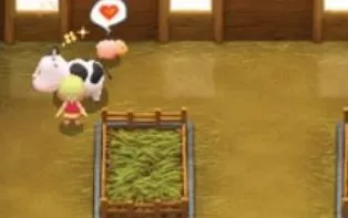 3DS《牧场物语3D双子村》美版英文CIA下载