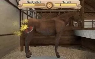 3DS《与小马在一起的日子3D》欧版英文CIA下载