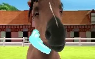 3DS《我的驯马场3D为团队而跳跃》欧版英文CIA下载