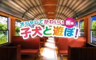 3DS《与可爱的小狗一起玩:街篇》日版日文CIA下载