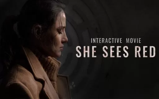 switch《她看见红色 She Sees Red - Interactive Movie》中文版nsz+nsp+xci下载【1.0.1补丁】