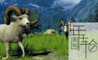 XBOX360《坎贝拉猎人2010》GOD 英文版 下载