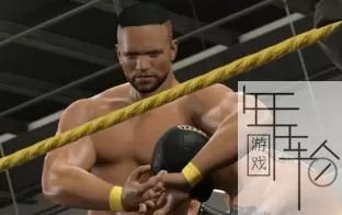 [XBOX 360]《美国职业摔角联盟2K15(WWE 2K15)》英文版 下载