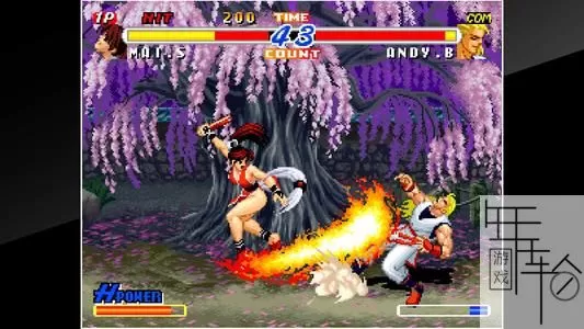 switch《饿狼传说RB2 ACA NEOGEO REAL BOUT FATAL FURY 2》英文版nsp下载_0