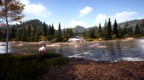 模拟狩猎2 Hunting Simulator 2 PC中文版下载（Build 20200915）_1