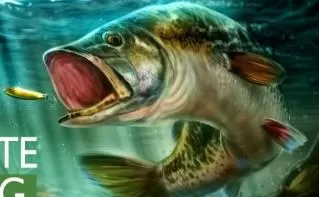 switch《终极钓鱼模拟器 Ultimate Fishing Simulator》中文版nsp/xci下载
