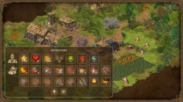 王国英雄 Hero of the Kingdom PC英文版下载（v1.55）_1