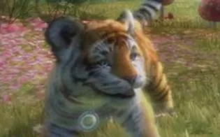 XBOX360 体感游戏 《我的宠物黄金版和熊在一起》 中文 下载