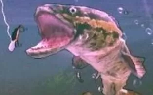 XBOX360 体感游戏 《职业钓鱼》 英文 下载