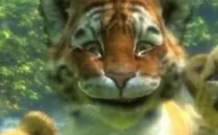 XBOX360 体感游戏 《宠物》 中文 下载