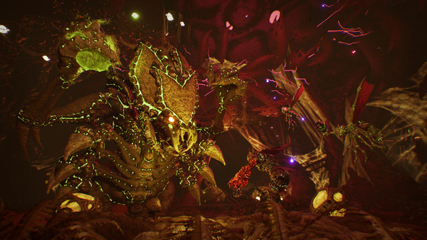 Arboria PC英文版下载（集成The Reptilz）_1