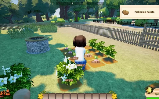 南瓜日 Pumpkin Days PC英文版下载（v0.4.1.3）