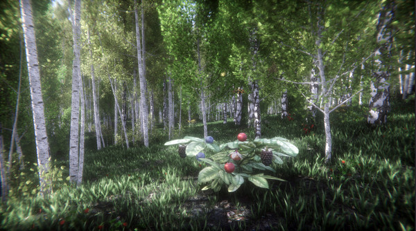 浆果挑战赛 Berries Challenge PC中文版下载_0