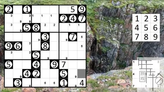 switch《Logic Puzzle Collection: Sudoku - Permudoku - Nonodoku 》英文版nsp/xci下载_4