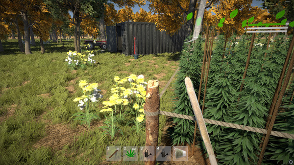 杂草农夫模拟器 Weed Farmer Simulator PC英文版下载_0