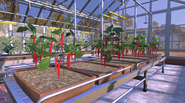 农民王朝 Farmer's Dynasty PC中文版下载（集成土豆和甜菜DLC）_1