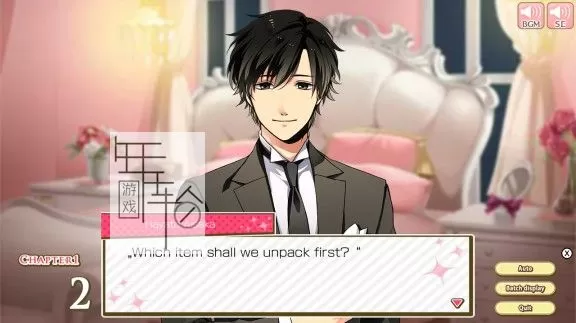 switch《钻石女孩的恋爱教育|Diamond Girl An Earnest Education in Love》英文版nsz+xci下载_2