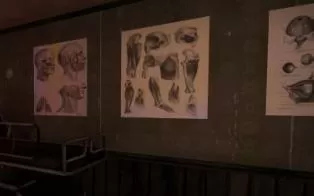 switch《恐怖之眼 eyes the horror game》英文版nsz/xci下载【1.01补丁】