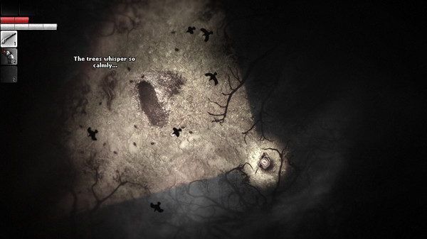 阴暗森林 Darkwood PC中文版下载_1