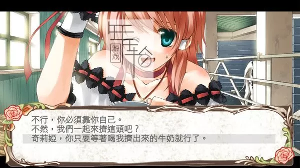 switch《兰岛物语：重制版 lair land story》中文版nsp/xci整合版下载【日版+美版】_3