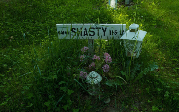 地理空间:卡罗尔里德之谜 Geospots A Carol Reed Mystery  PC英文版下载_1