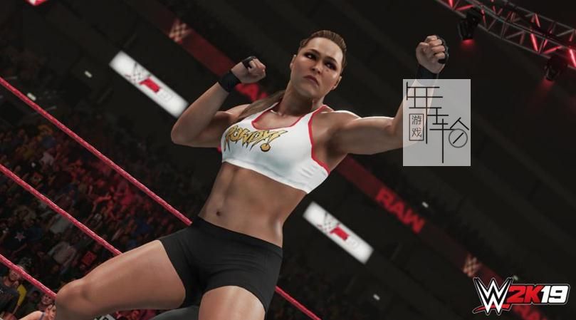 【PC】《WWE 2K19》免安装绿色版下载_1