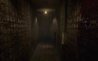 【PC】《疯狂之源 Roots of Insanity》免安装中文版下载
