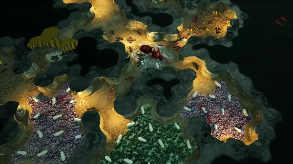 PC《地下蚁国 Empires of the Undergrowth》免安装中文版下载v0.30215_0