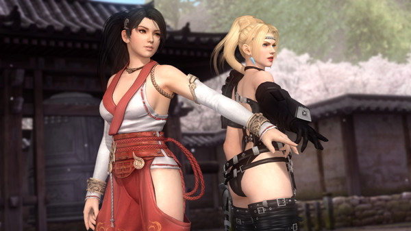死或生5：最后一战 PC免安装中文豪华版下载（整合73DLC）_1
