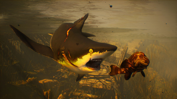 【5.05降级】PS4《食人鲨 Maneater》欧版中文pkg下载_0