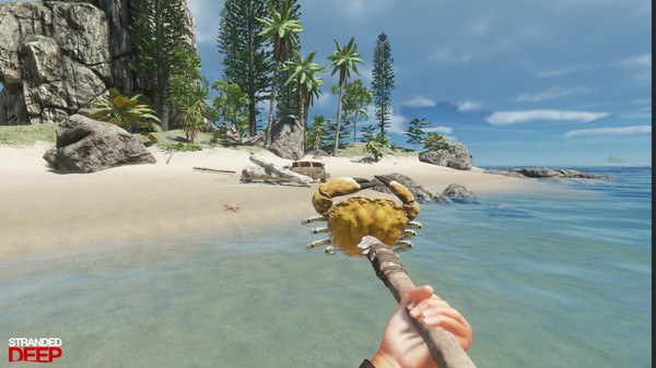 【7.02】PS4《荒岛求生 Stranded Deep》英文版pkg下载（v1.01）_1