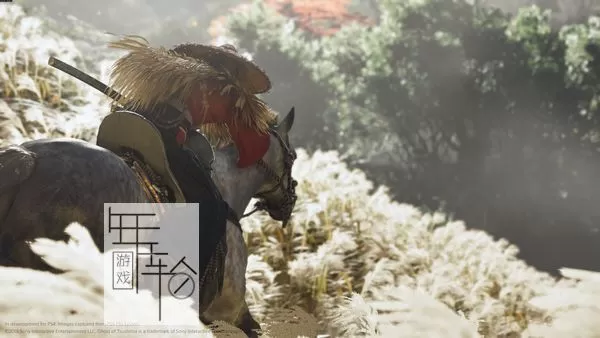 【5.05】PS4《对马岛之魂/抗蒙奇侠 导演剪辑版》港版中文版pkg下载【2.18+金手指】_3