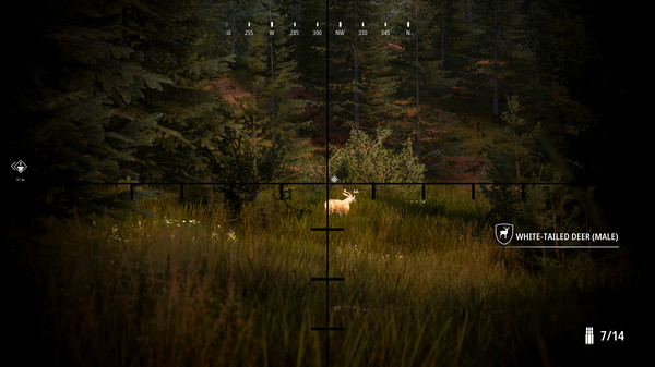 狩猎模拟2 Hunting Simulator 2 PC免安装中文版下载_1