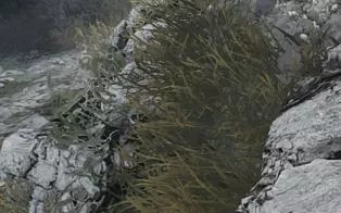 【PC】《旋转轮胎：泥泞奔驰Spintires: MudRunner》折腾游戏联机正版下载