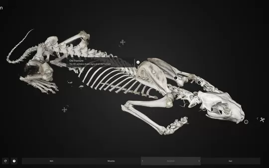 内窥 Inside Explorer PC免安装英文版下载