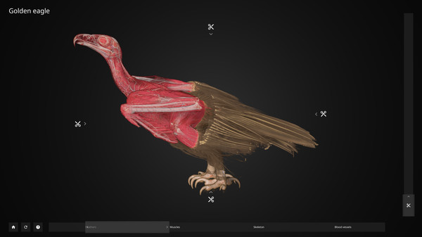 内窥 Inside Explorer PC免安装英文版下载_1