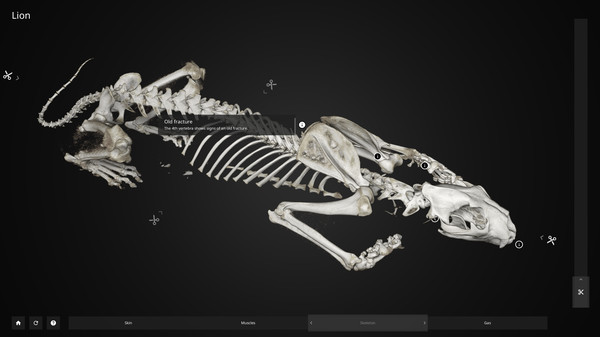 内窥 Inside Explorer PC免安装英文版下载_0