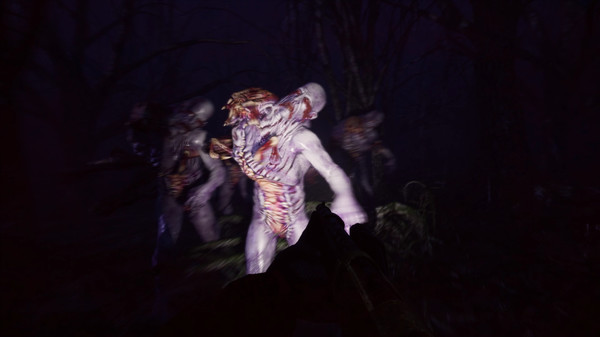努力生存 Try to Survive PC免安装英文版下载_1